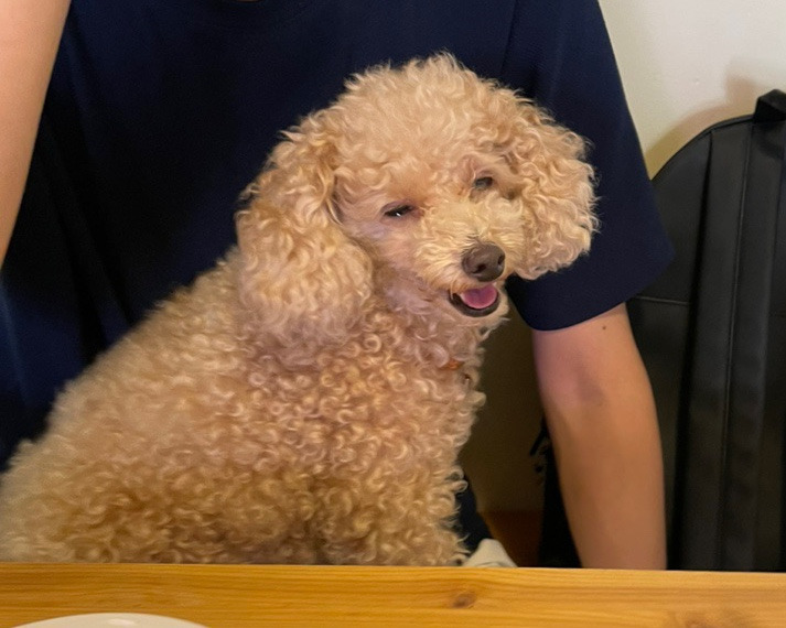 더블루 이미지