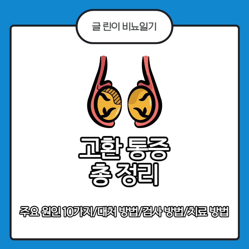  고환 통증 총 정리