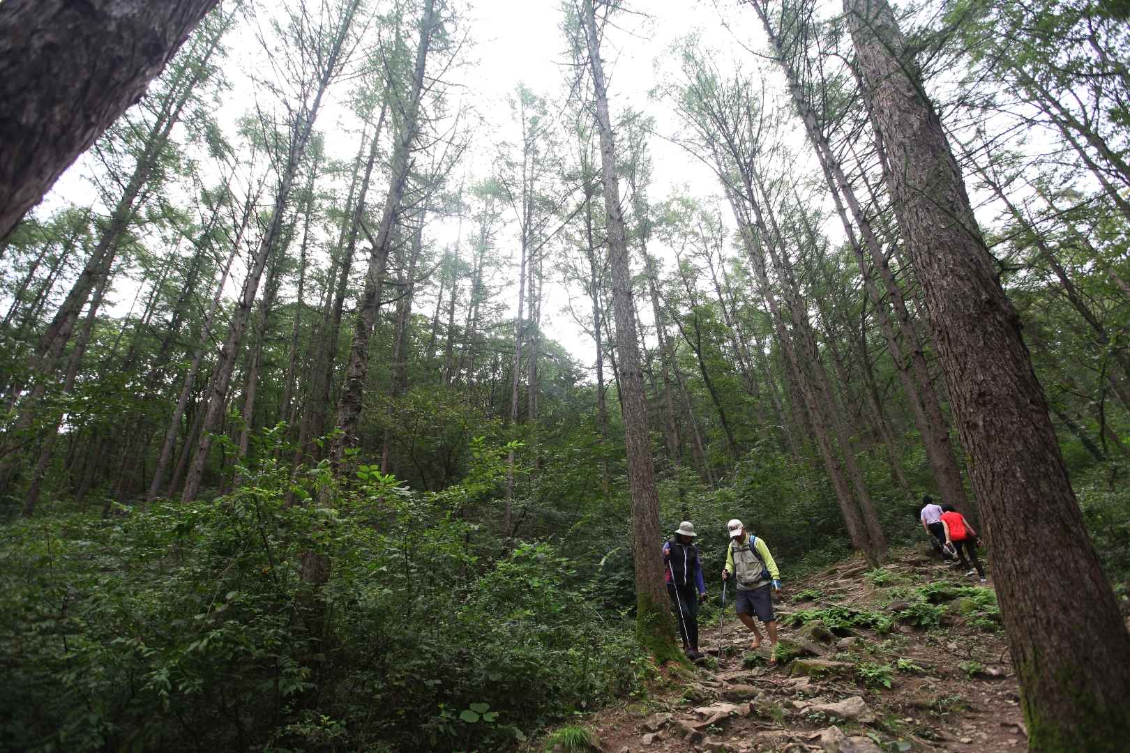 계족산황톳길