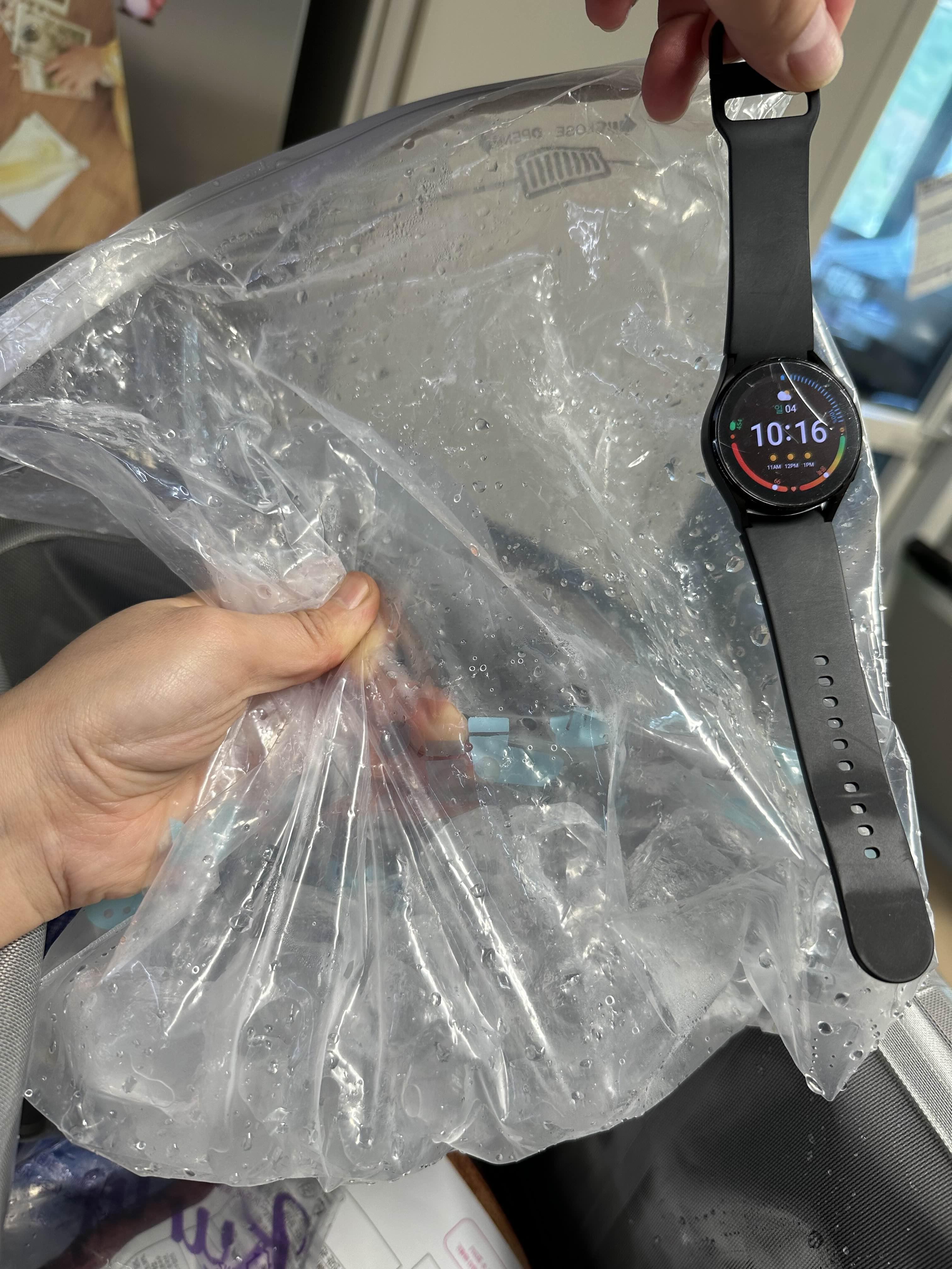 다음날 인증샷