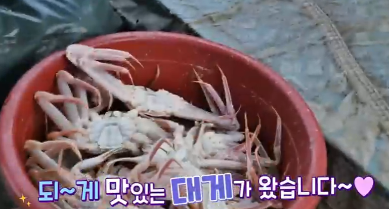  6시 내고향 대게 주문하는곳