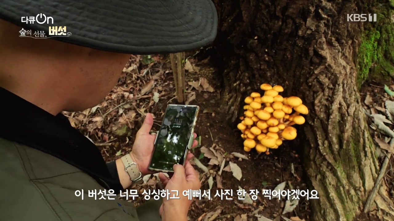 다큐 온.E227.231120p-NEXT.mp4_20231121_201917.625.jpg