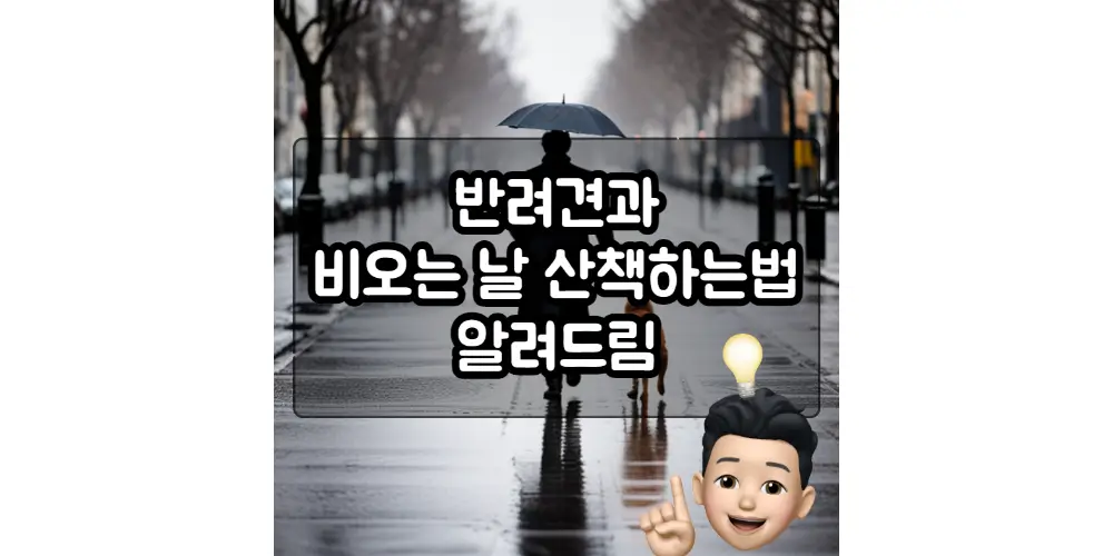  비오는날 강아지 산책하는 방법