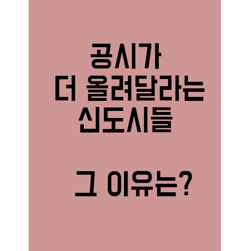 신도시들이 공시가를 올려달라고 하는 이유는?