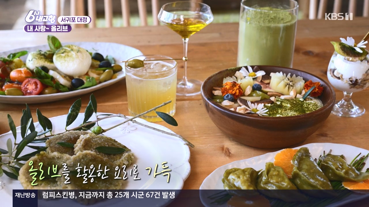 6시 내고향.E7910.231032p-NEXT.mp4_20231101_204601.131.jpg