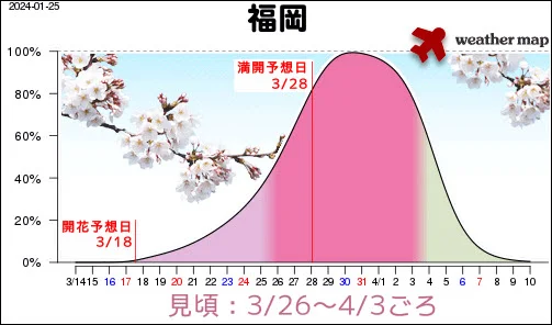 후쿠오카 벚꽃 개화시기