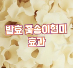 발효-꽃송이현미-효소-효능