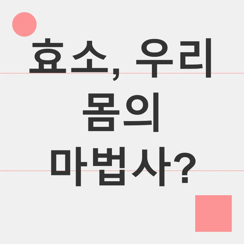 효소 다이어트_1