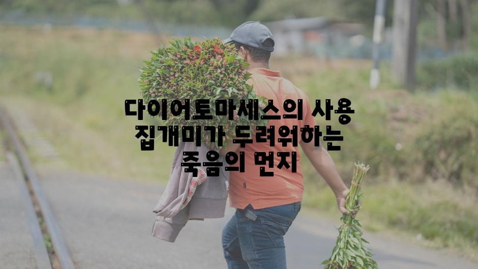 다이어토마세스의 사용 집개미가 두려워하는 죽음의 먼지