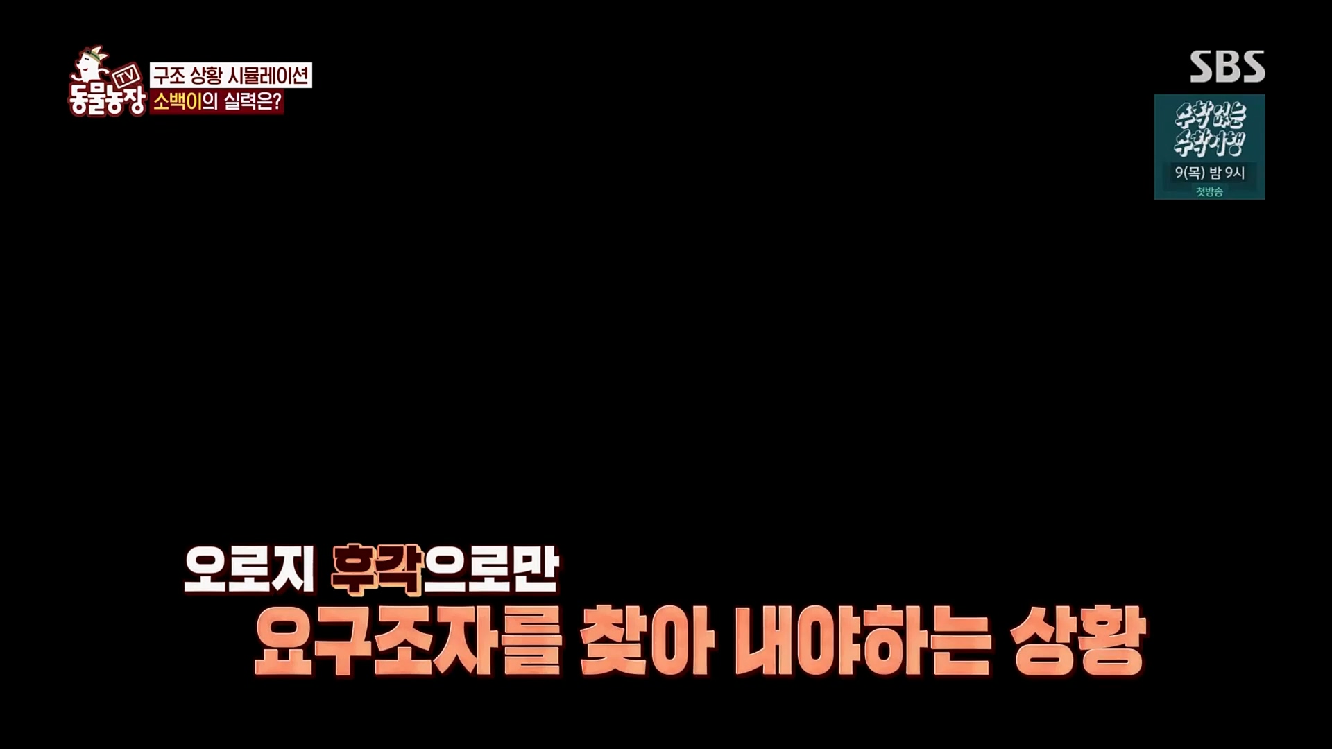 TV 동물농장.E1109.230226p.H264-F1RST.mp4_20230226_161921.129.jpg