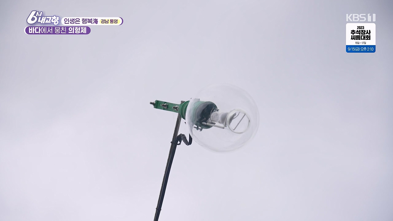 6시 내고향.E7878.230912p-NEXT.mp4_20230918_211140.525.jpg