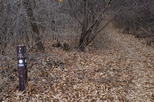 숲속 낙엽 수북한 산길, 갈림길, 왼쪽에 이정표,