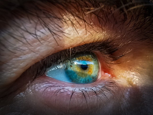 안구 운동 치료(EMDR) – PTSD와 불안 장애 치료를 위한 신경학적 접근법