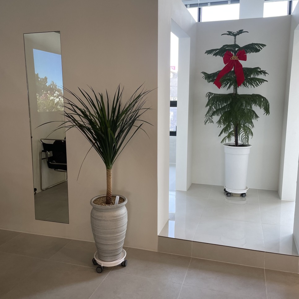 컷트 염색을 잘하는 곳! 13