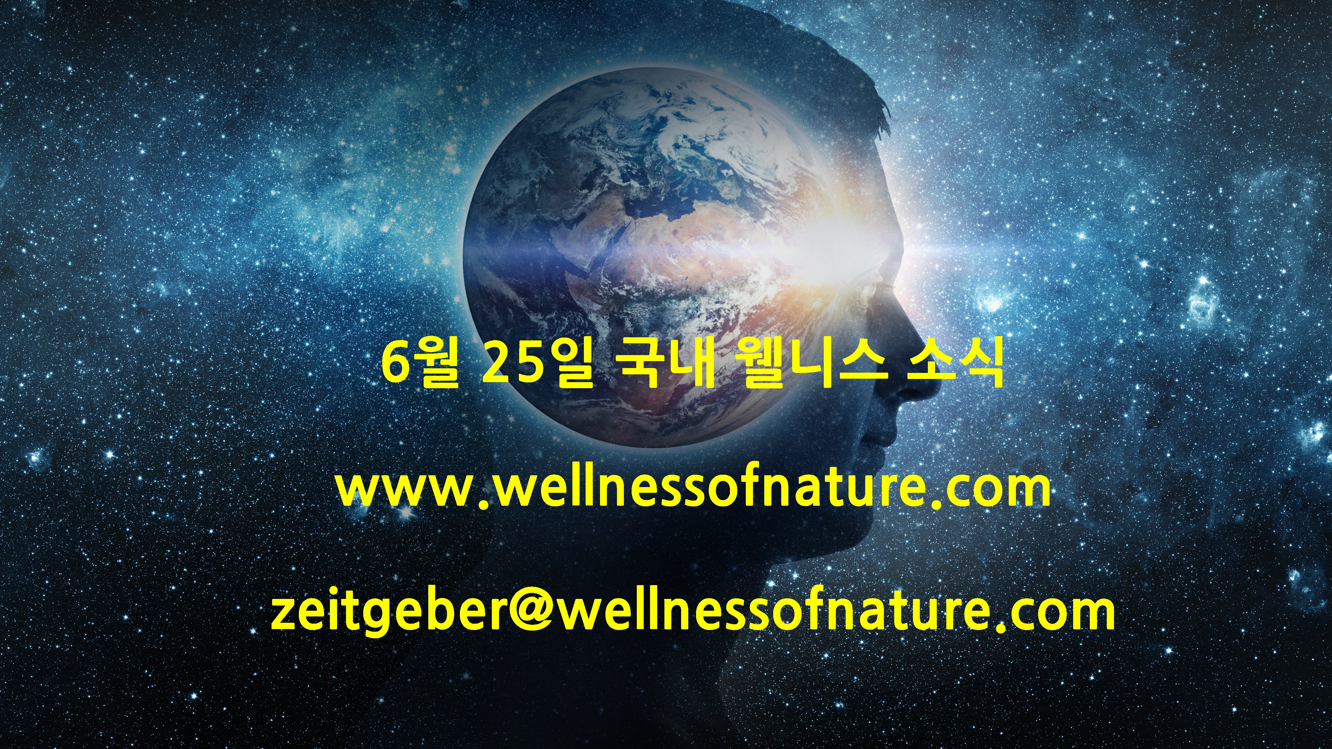  2024년 6월 25일 국내 웰니스 뉴스