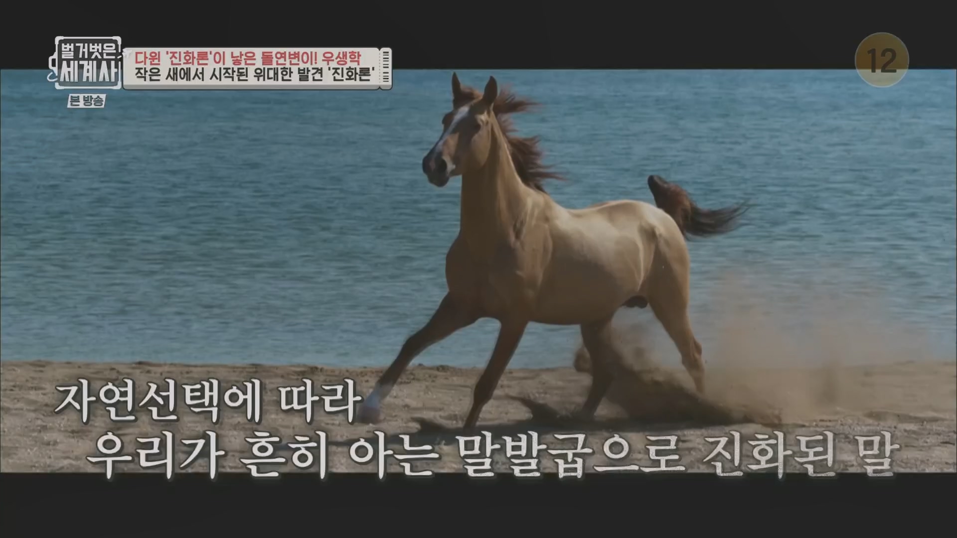벌거벗은 세계사.E97.230502p.H264-F1RST.mp4_20231224_171026.833.jpg