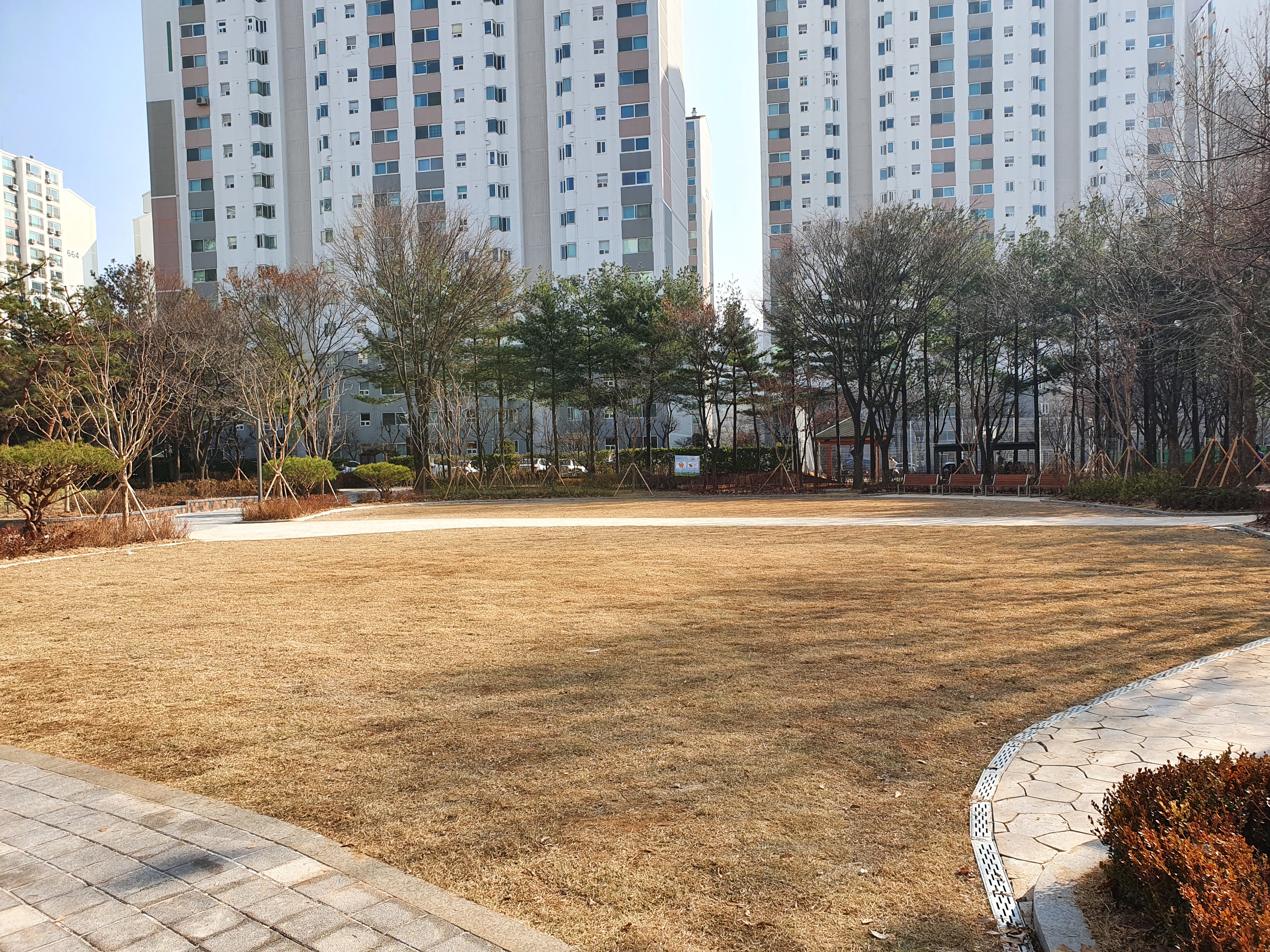 박지성 어린이공원 잔디밭