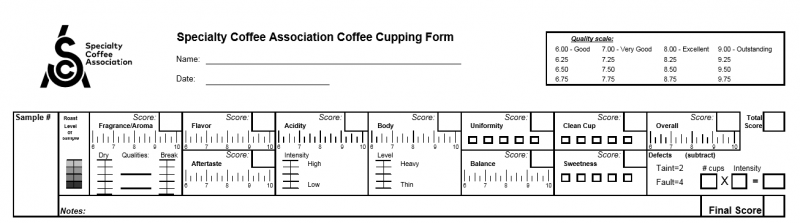 SCA 공식 커피 평가 양식