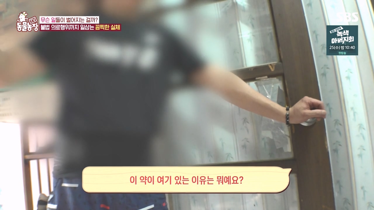 TV 동물농장.E1142.231023p-NEXT.mp4_20231022_172346.365.jpg