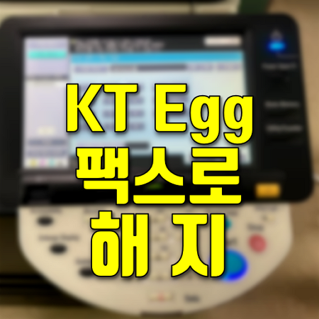  kt 에그 해지