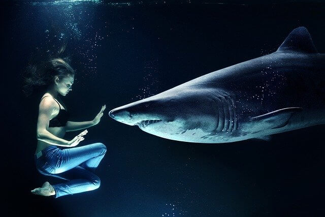 여자 상어 공포