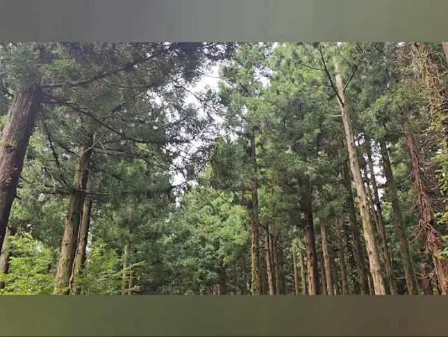 노로오름