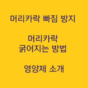  머리카락 빠짐 방지 머리카락 굵어지는 방법 영양제