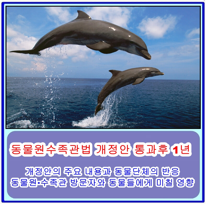  동물원수족관법 개정안 통과후 1년, 개정안의 주요 내용과 동물단체의 반응, 동물원·수족관 방문자와 동물들에게 미칠 영향