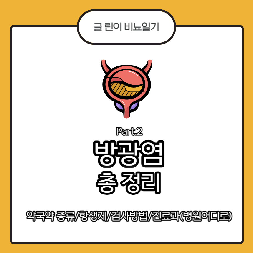  방광염 총 정리 Part.2 : 약국약 종류/항생제/검사방법/진료과(병원 어디로)