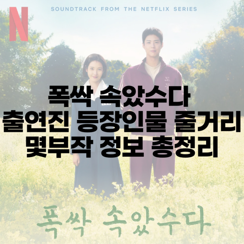 폭싹 속았수다 출연진 등장인물 줄거리 몇부작 정보 총정리