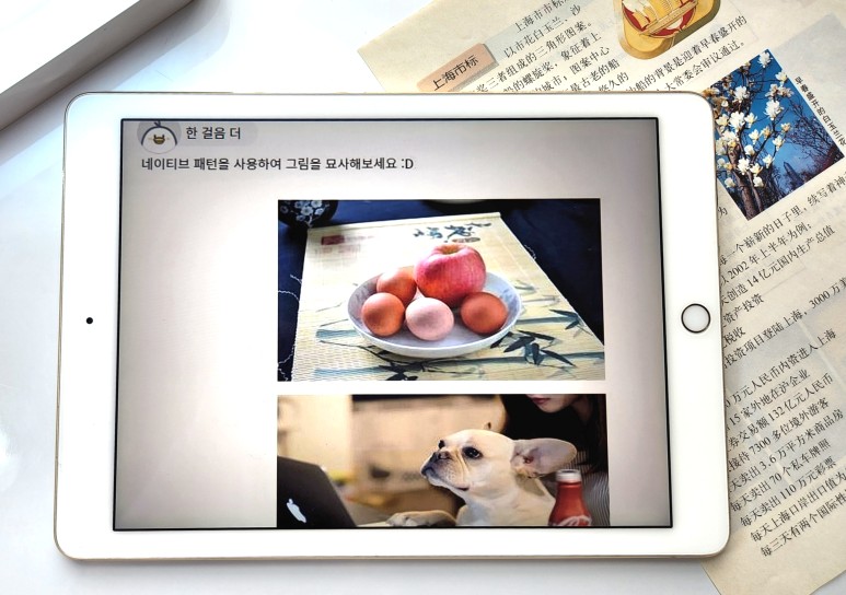 생활 중국어 생활 중국어회화 太/不太 12