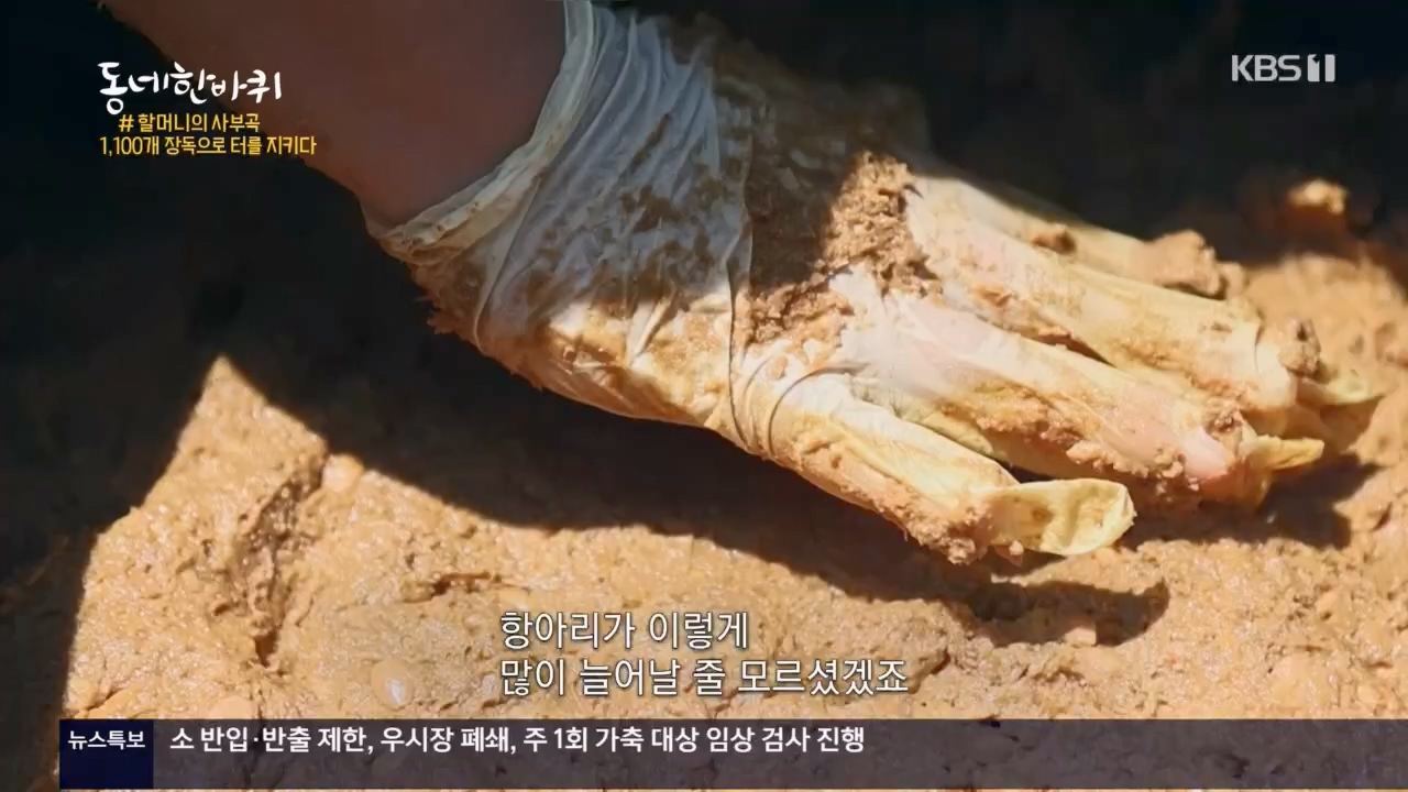 동네 한 바퀴.E221.230521p.H264-F1RST.mp4_20230522_210408.712.jpg