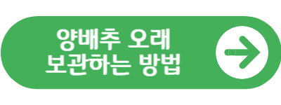 양배추 보관 방법