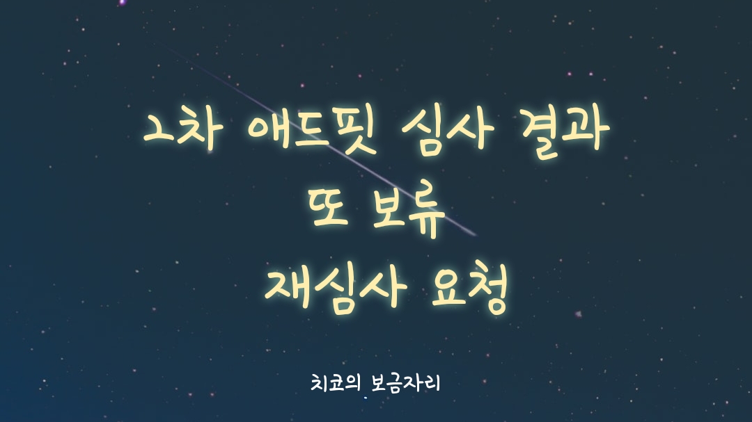  카카오 애드핏 2차 보류 그렇다면 이번에 보류된 이유는?