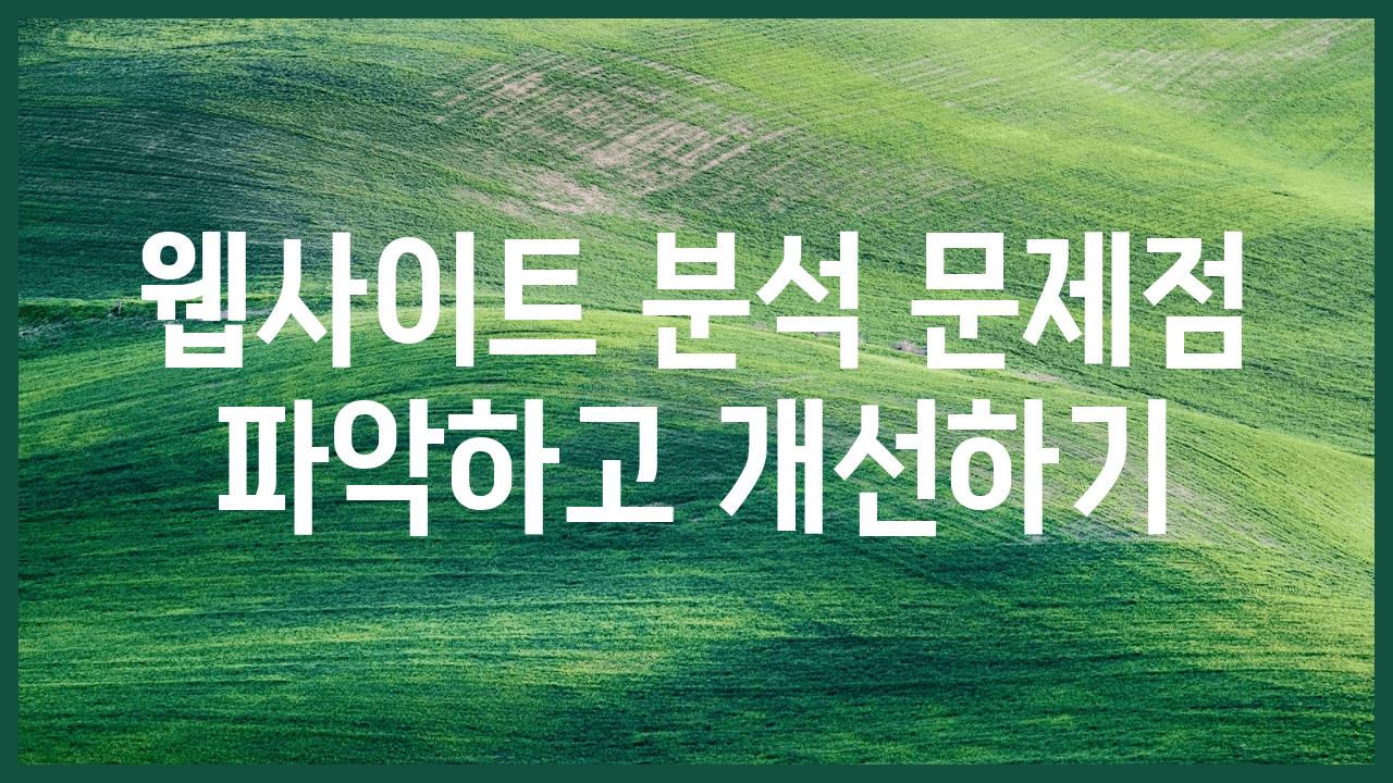 웹사이트 분석 문제점 파악하고 개선하기