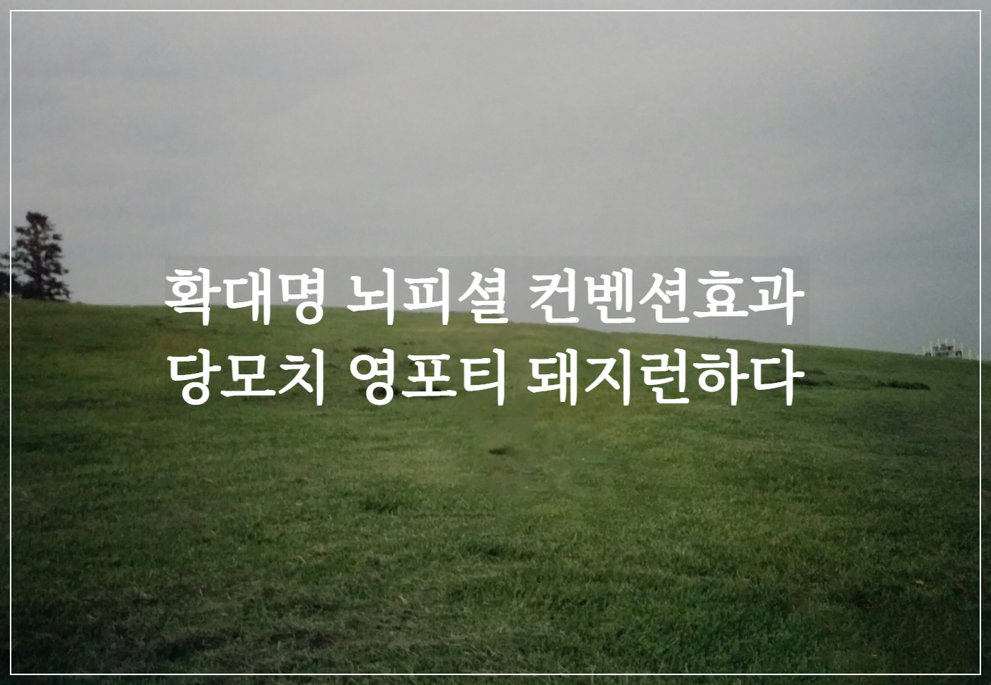  정치권 신조어/자주 쓰고 듣는 신조어/확대명 영포티 뇌피셜 무슨 말?