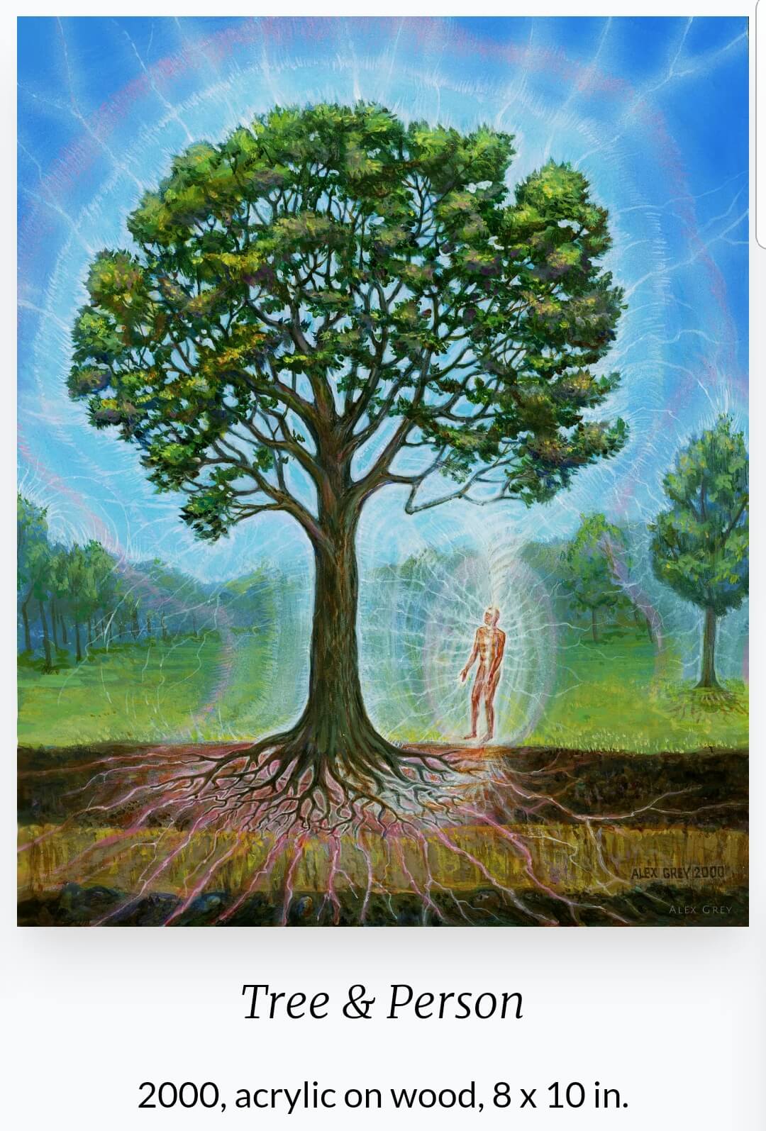 Alex Grey(1953 ~ ) 작품 &amp;#39;Tree &amp; Person&amp;#39;