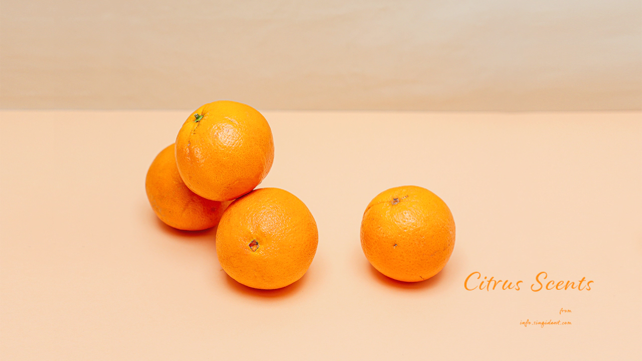 06 오렌지 4개 C - Citrus Scents 주황색배경화면