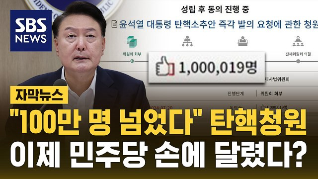 향후 전망 및 정치적 영향