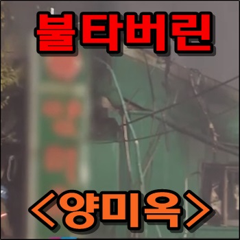  화재로 전소된 을지로 명소 양미옥
