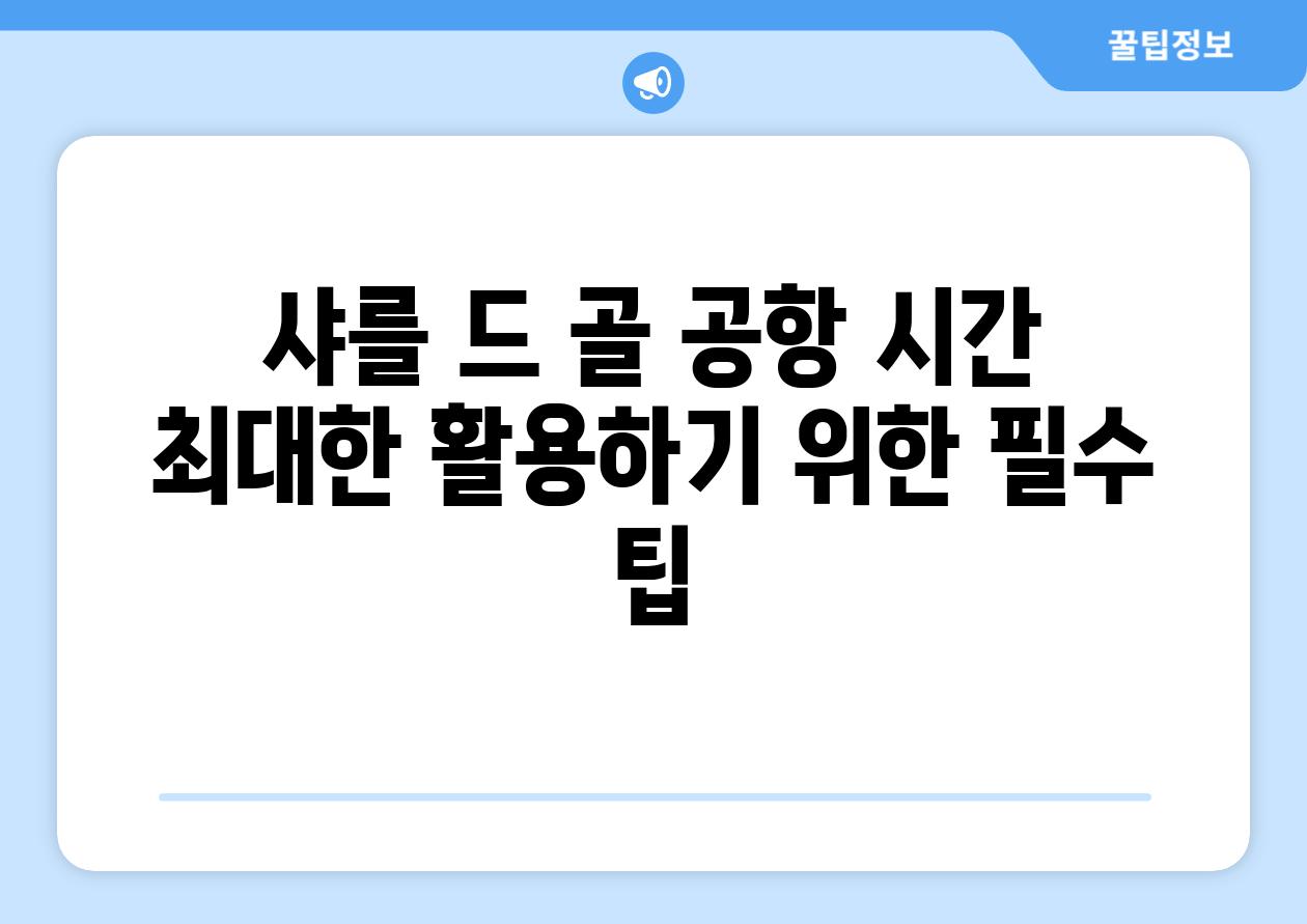 샤를 드 골 공항 시간 최대한 활용하기 위한 필수 팁