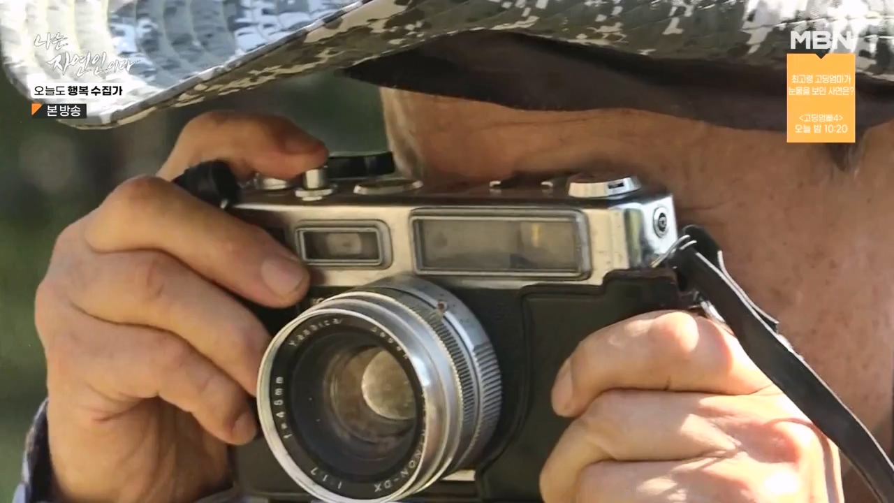 나는 자연인이다.E578.231102p-NEXT.mp4_20231102_202926.636.jpg