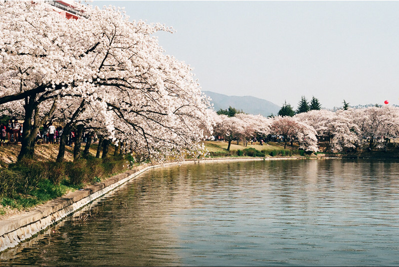 보문호수