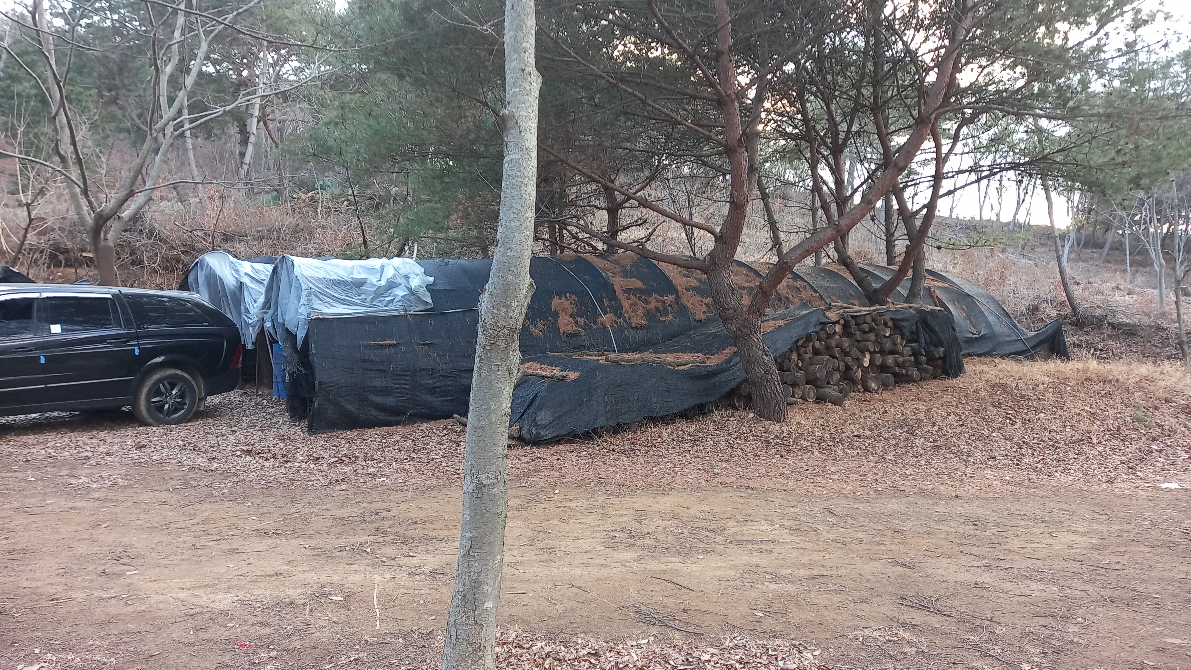 영상일기/20230216/나대자연 30