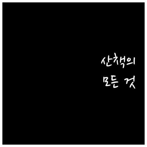 🐕 똑똑한 산책법: 강아지 건강, 스