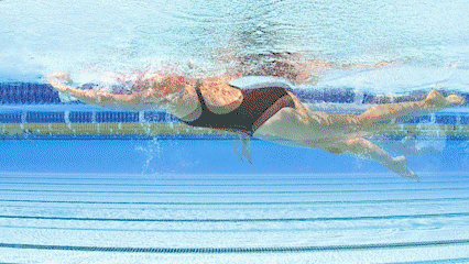 자유형 크롤 동작 움짤