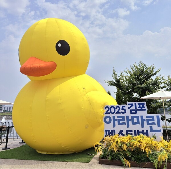 아라스포츠 이미지