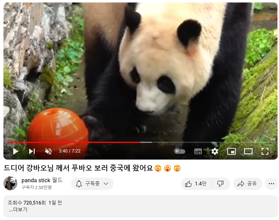 푸바오와 강할부지 만남?! 중국 간 강바오 사육사 동영상, 쌍둥바오 루이,후이 생일파티 인형, 굿즈