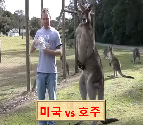  도쿄올림픽 농구 4강 관전포인트 -  미국vs호주