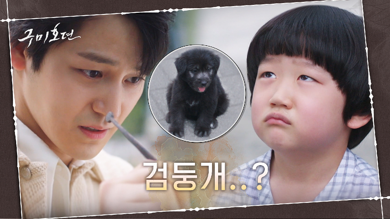  드라마 추천 20년10월28일 수요일 / 구미호뎐 / 찬란한내인생 / 도도솔솔라라솔 / 비밀의남자 / 사생활 / 누가뭐래도 / 불새2020 재방송 다시보기 인물관계도